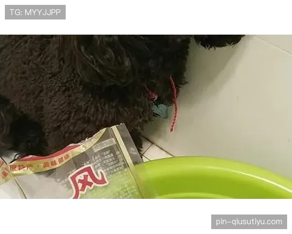 王昶训练完直接瘫在场边啃冰棒，这松弛感是真不装啊